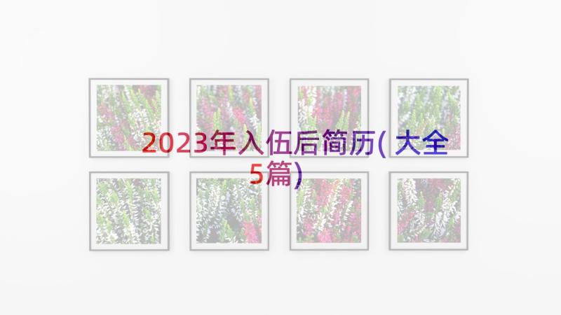 2023年入伍后简历(大全5篇)