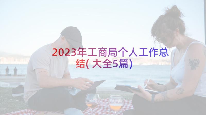 2023年工商局个人工作总结(大全5篇)