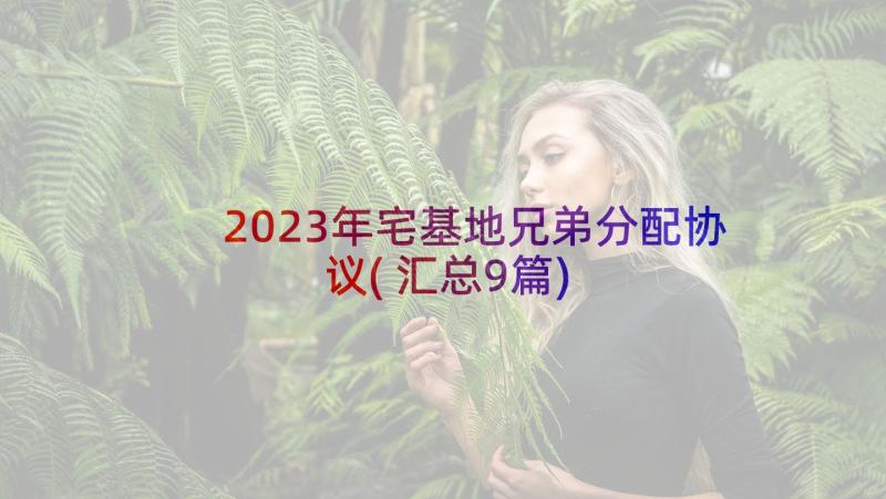 2023年宅基地兄弟分配协议(汇总9篇)