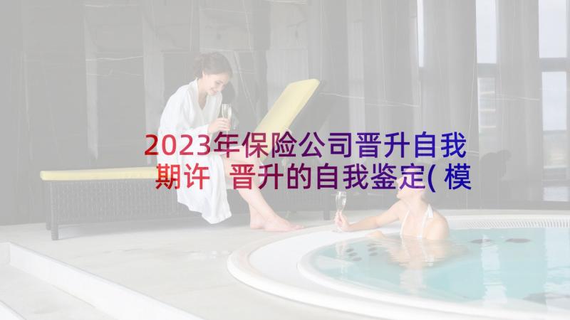 2023年保险公司晋升自我期许 晋升的自我鉴定(模板6篇)