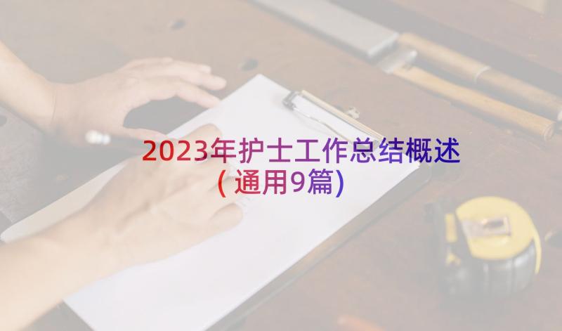 2023年护士工作总结概述(通用9篇)