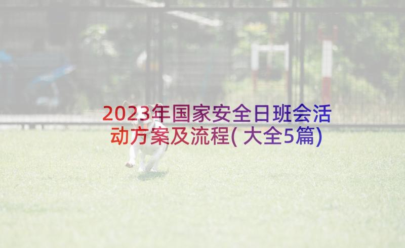 2023年国家安全日班会活动方案及流程(大全5篇)