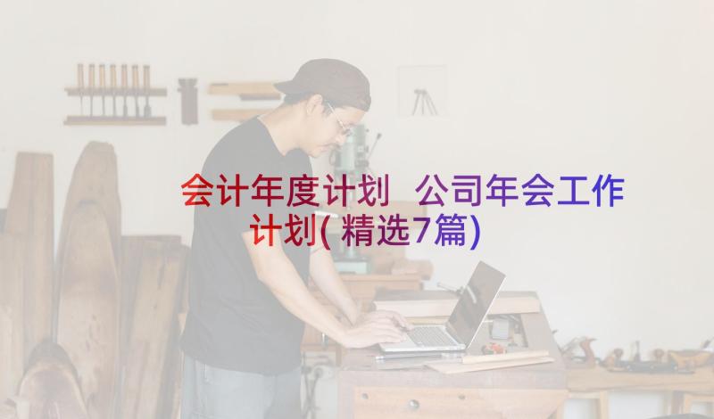 会计年度计划 公司年会工作计划(精选7篇)