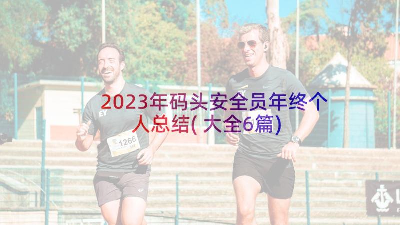 2023年码头安全员年终个人总结(大全6篇)