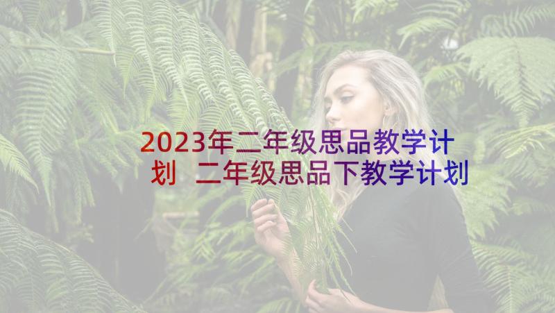 2023年二年级思品教学计划 二年级思品下教学计划(实用5篇)