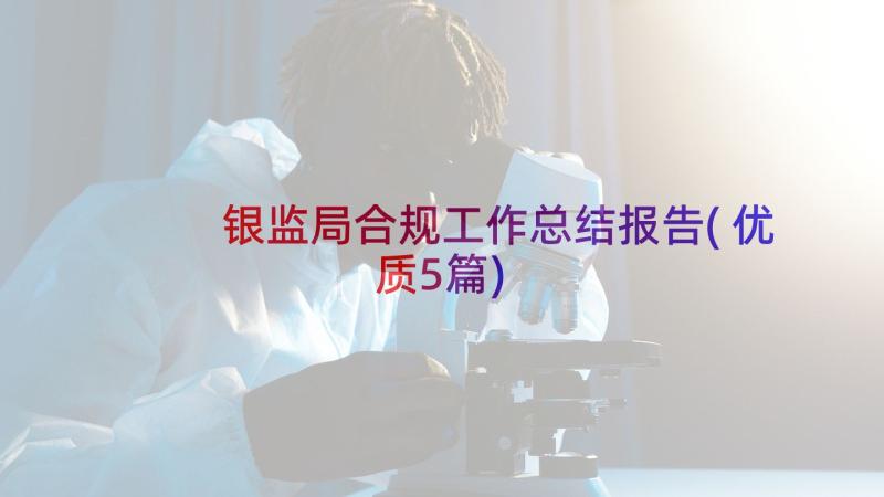 银监局合规工作总结报告(优质5篇)