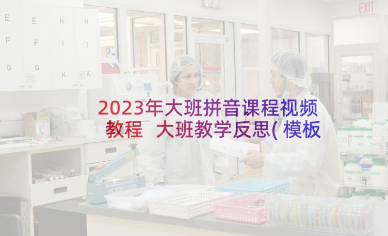 2023年大班拼音课程视频教程 大班教学反思(模板6篇)