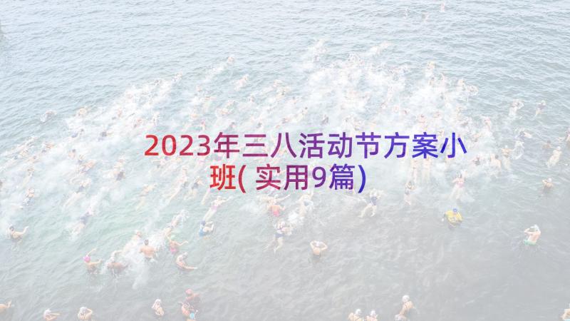 2023年三八活动节方案小班(实用9篇)