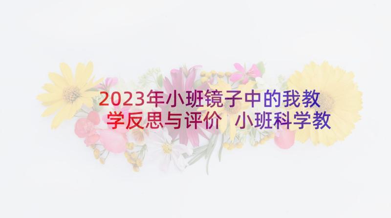 2023年小班镜子中的我教学反思与评价 小班科学教案及教学反思雨中的快乐(大全5篇)