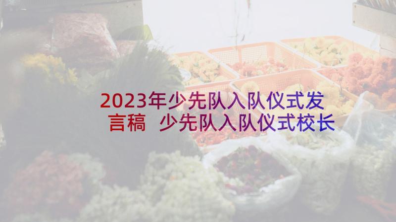 2023年少先队入队仪式发言稿 少先队入队仪式校长发言稿(大全5篇)