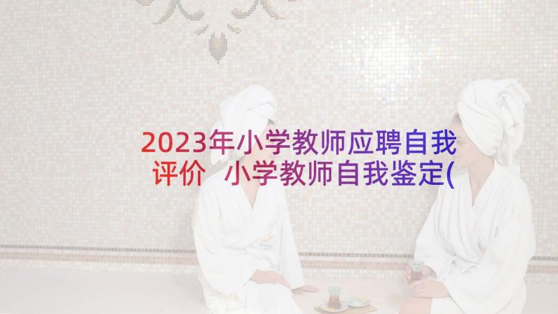 2023年小学教师应聘自我评价 小学教师自我鉴定(实用8篇)