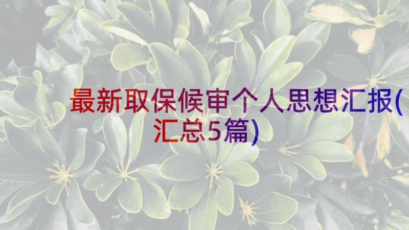 最新取保候审个人思想汇报(汇总5篇)