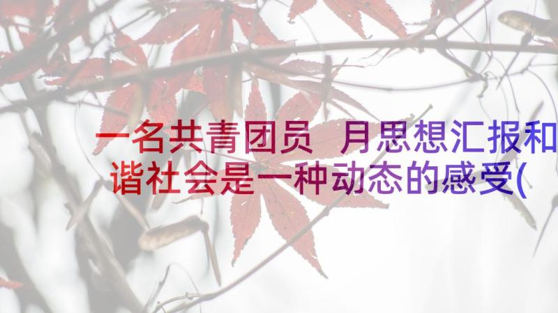 一名共青团员 月思想汇报和谐社会是一种动态的感受(模板5篇)