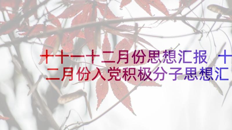 十十一十二月份思想汇报 十二月份入党积极分子思想汇报(模板5篇)