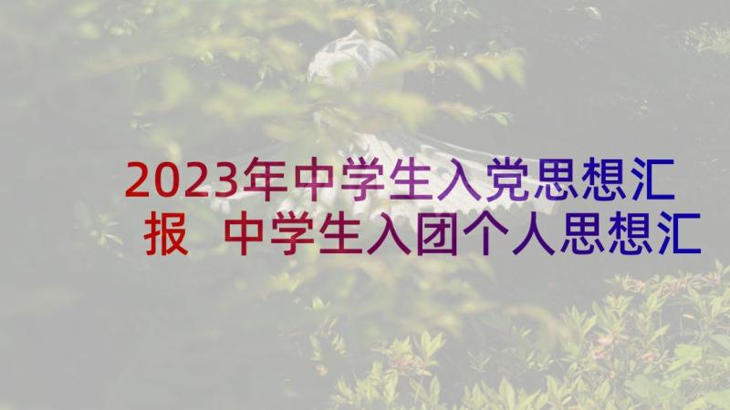 2023年中学生入党思想汇报 中学生入团个人思想汇报(汇总5篇)