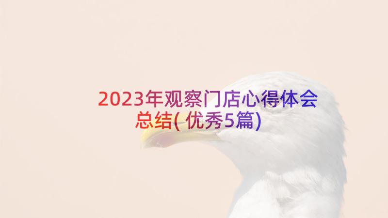 2023年观察门店心得体会总结(优秀5篇)