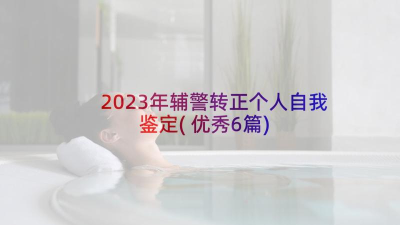 2023年辅警转正个人自我鉴定(优秀6篇)