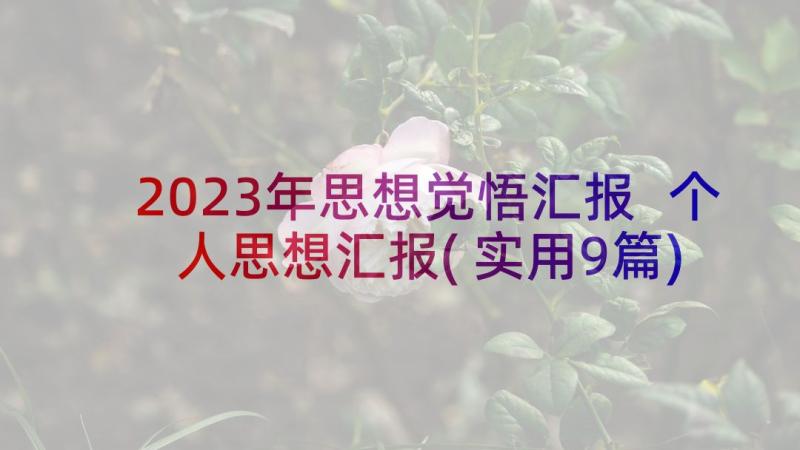 2023年思想觉悟汇报 个人思想汇报(实用9篇)