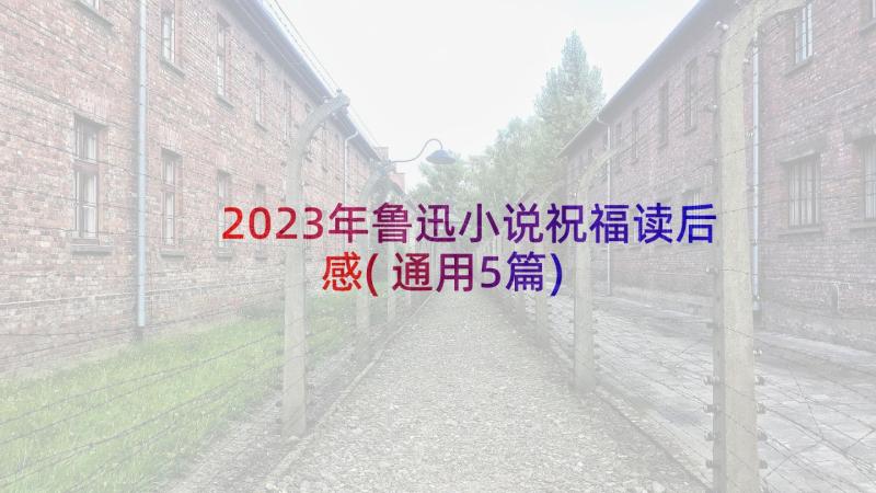 2023年鲁迅小说祝福读后感(通用5篇)