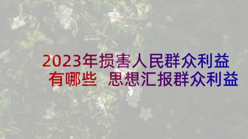 2023年损害人民群众利益有哪些 思想汇报群众利益无小事(实用5篇)