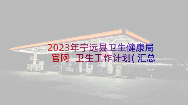 2023年宁远县卫生健康局官网 卫生工作计划(汇总8篇)