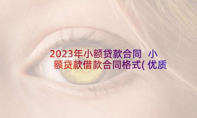 2023年小额贷款合同 小额贷款借款合同格式(优质5篇)