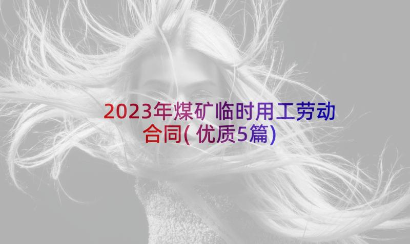 2023年煤矿临时用工劳动合同(优质5篇)