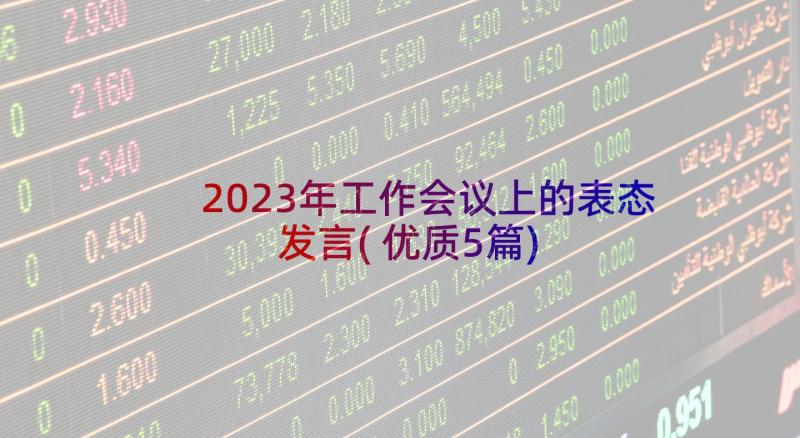 2023年工作会议上的表态发言(优质5篇)