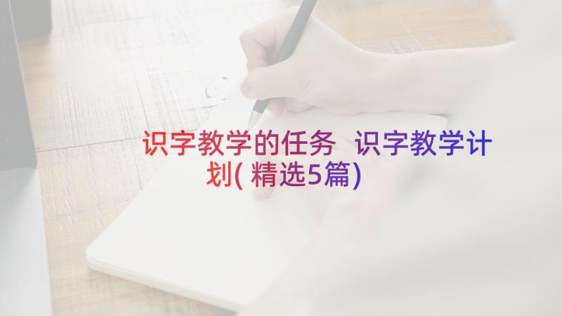 识字教学的任务 识字教学计划(精选5篇)