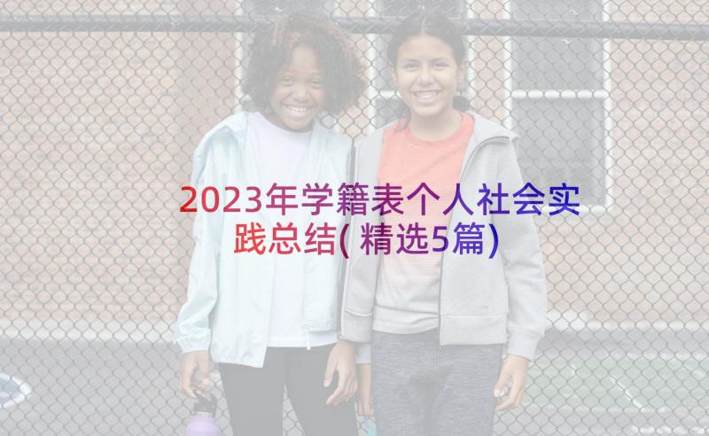 2023年学籍表个人社会实践总结(精选5篇)