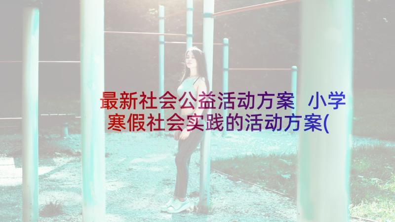 最新社会公益活动方案 小学寒假社会实践的活动方案(汇总5篇)