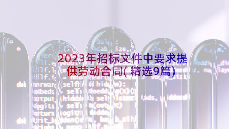 2023年招标文件中要求提供劳动合同(精选9篇)