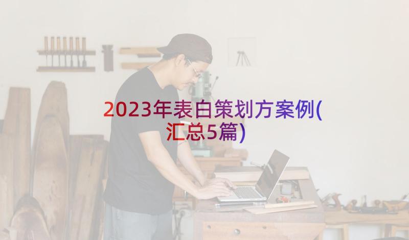 2023年表白策划方案例(汇总5篇)