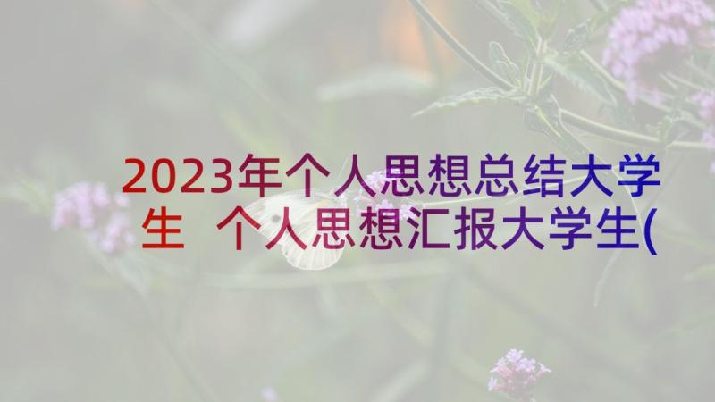 2023年个人思想总结大学生 个人思想汇报大学生(精选6篇)