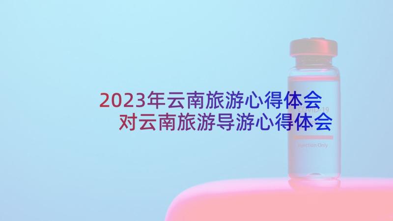2023年云南旅游心得体会 对云南旅游导游心得体会(汇总5篇)