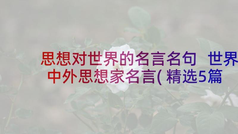 思想对世界的名言名句 世界中外思想家名言(精选5篇)