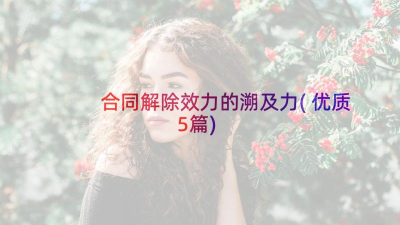 合同解除效力的溯及力(优质5篇)