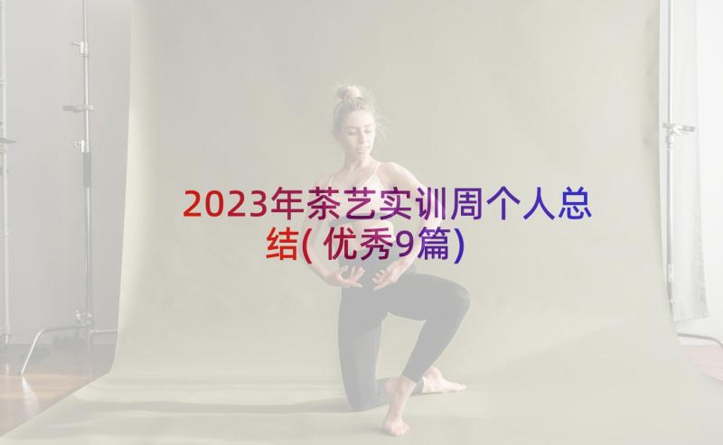 2023年茶艺实训周个人总结(优秀9篇)