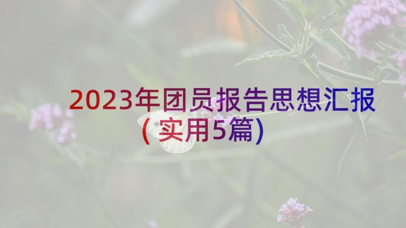 2023年团员报告思想汇报(实用5篇)