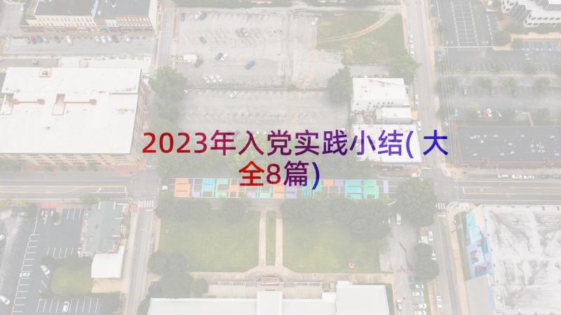2023年入党实践小结(大全8篇)