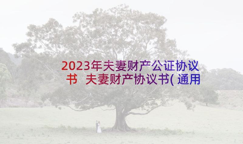 2023年夫妻财产公证协议书 夫妻财产协议书(通用10篇)