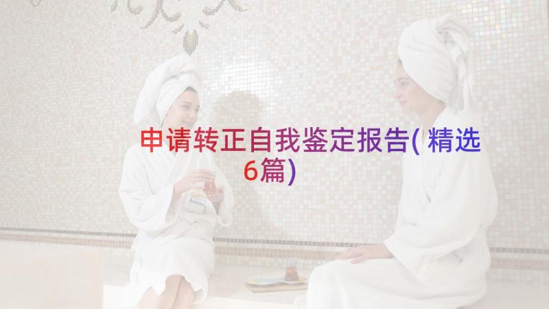 申请转正自我鉴定报告(精选6篇)