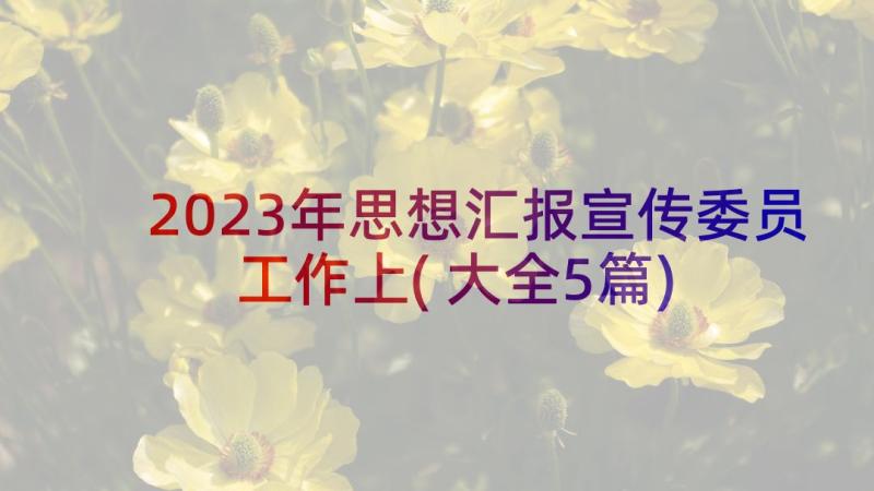 2023年思想汇报宣传委员工作上(大全5篇)