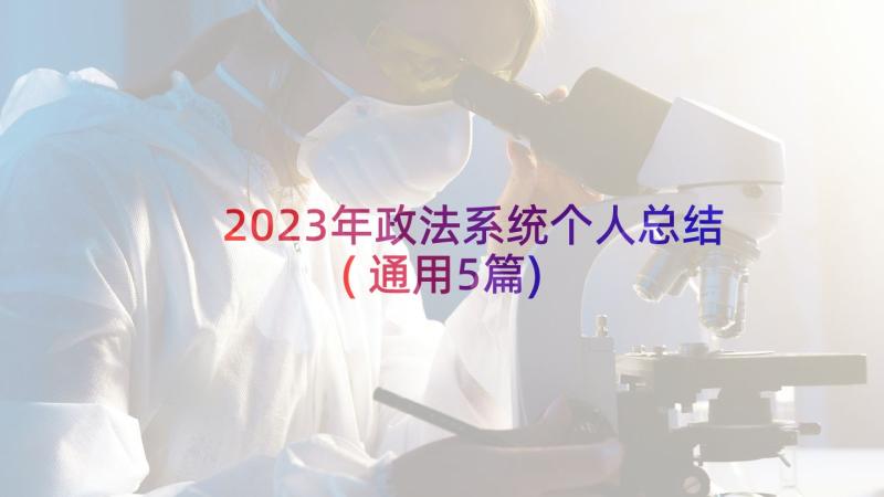 2023年政法系统个人总结(通用5篇)