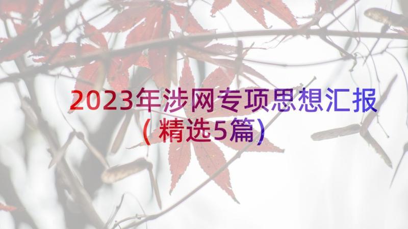 2023年涉网专项思想汇报(精选5篇)