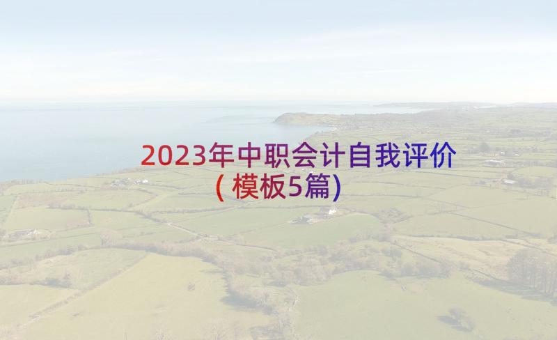 2023年中职会计自我评价(模板5篇)