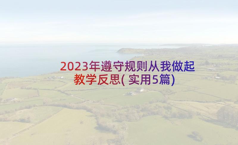 2023年遵守规则从我做起教学反思(实用5篇)