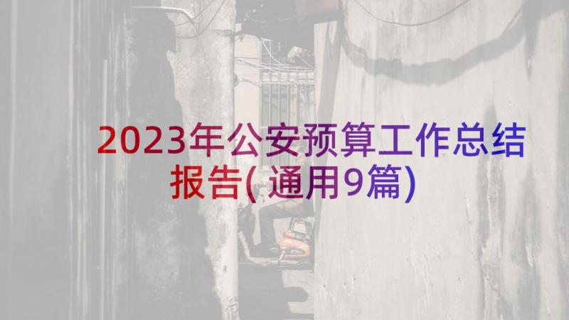 2023年公安预算工作总结报告(通用9篇)