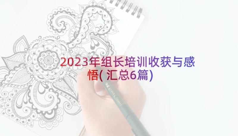 2023年组长培训收获与感悟(汇总6篇)