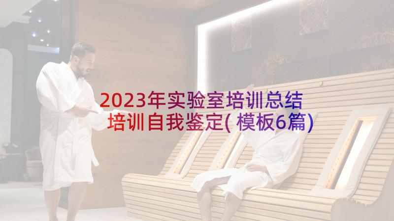 2023年实验室培训总结 培训自我鉴定(模板6篇)